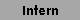 Intern