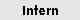 Intern